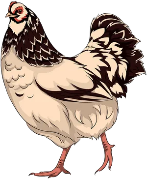 Illustrated Speckled Hen PNG image