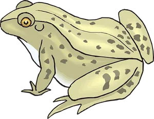 Illustrated Spotted Frog PNG image