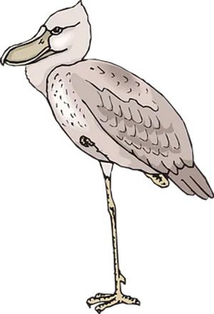 Illustrated Standing Bird PNG image