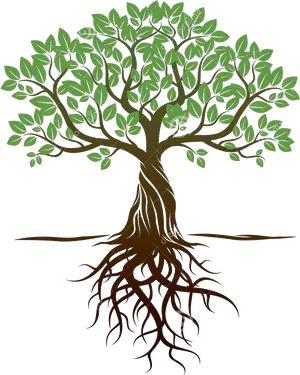 Illustrated Treewith Visible Roots PNG image