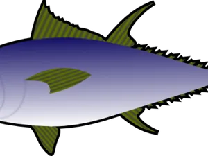 Illustrated Tuna Fish Graphic