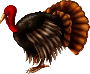 Illustrated Turkey Bird