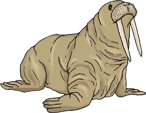 Illustrated Walruswith Tusks PNG image