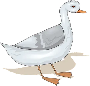 Illustrated White Goose Graphic