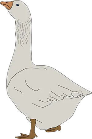 Illustrated White Goose