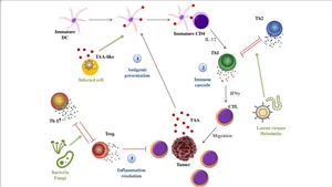 Immune_ Response_to_ Infection_and_ Cancer PNG image