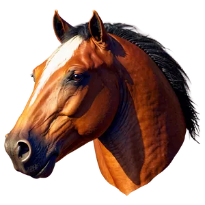 Impressive Horse Head Form PNG Rqo79 PNG