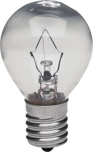 Incandescent Light Bulb Closeup