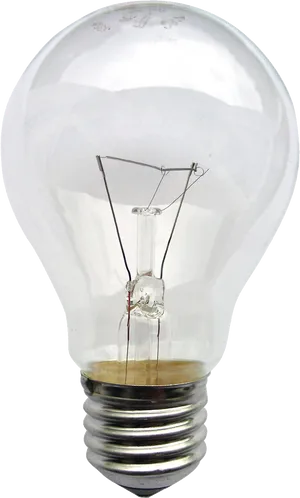 Incandescent Light Bulb