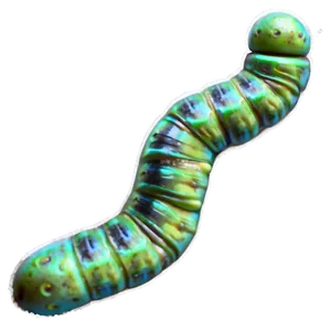 Inchworm Measurement Png 81 PNG image