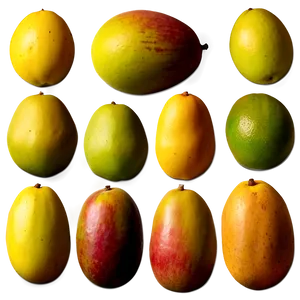 Indian Mango Varieties Png 06132024 PNG image