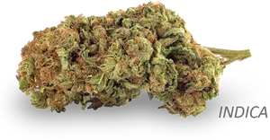Indica Cannabis Nugget PNG image