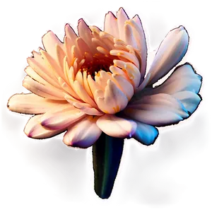 Indie Flower C
