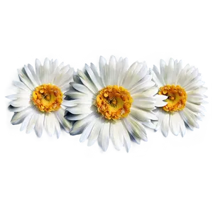 Indie Flower Cartoon Png Fms PNG image