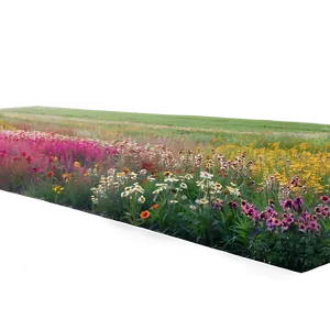 Indie Flower Field Landscape Png Sax PNG image