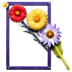 Indie Flower Frame PNG 06252024
