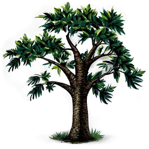 Indigenous Tree Elevation PNG Peq