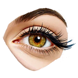 Individual Eyelash Extensions Png 06272024 PNG image