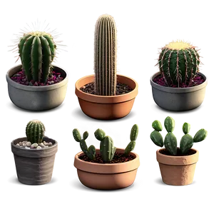 Indoor Cactus Collection PNG Vmy PNG