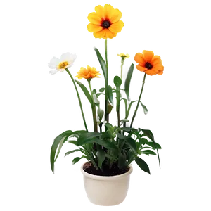 Indoor Flowering Plants PNG Ndl
