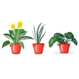 Indoor Plant PNG Lwn