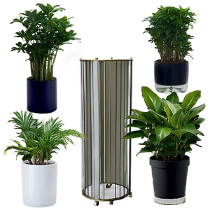 Indoor Plants In Office Png Uwy PNG image