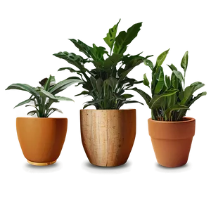 Indoor Plants In Pots PNG 17