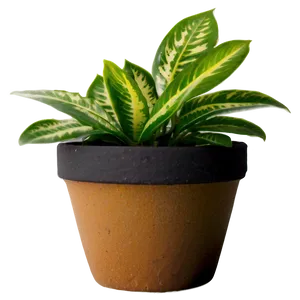 Indoor Plants In Pots PNG Yqx45