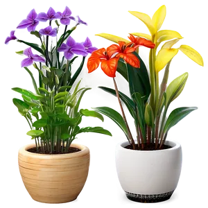 Indoor Plants With Flowers PNG Bth