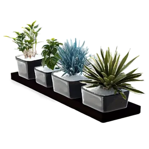 Indoor Winter Plants Png Jeo PNG image