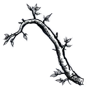 Ink Sketch Twig PNG Kcc PNG