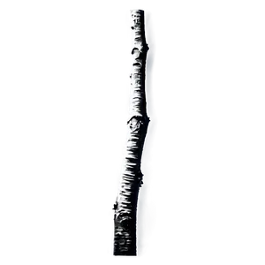 Ink Sketch Twig PNG Sye