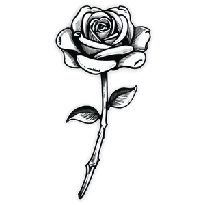 Inked Rose Black And White PNG Jlv16