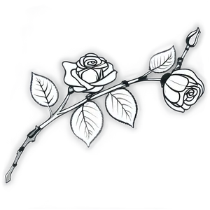 Inked Rose Black And White PNG Ukl