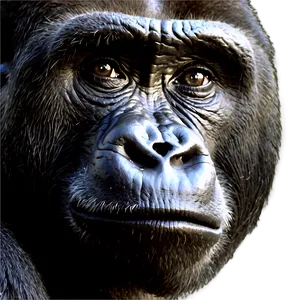 Inquisitive Gorilla Face Png 05212024 PNG image