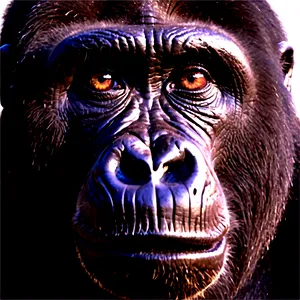 Inquisitive Gorilla Face Png Hio PNG image