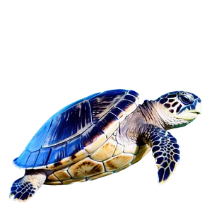 Inspirational Sea Turtle Quote Png Fve97 PNG image