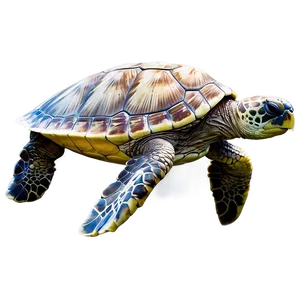 Inspirational Sea Turtle Quote Png Kky69 PNG image