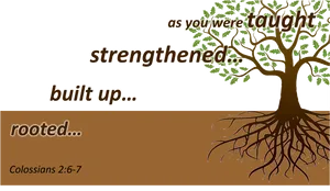 Inspirational Tree Roots Colossians Biblical Verse PNG image