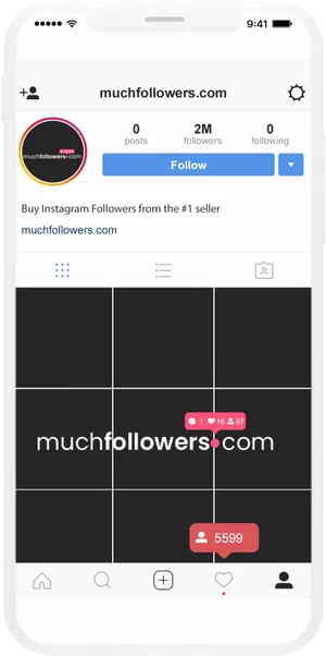 Instagram Followers Sales Pitch Screenshot PNG image