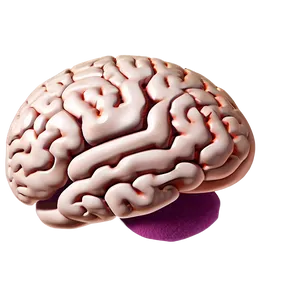 Intellectual Brain Emoji PNG 06132024