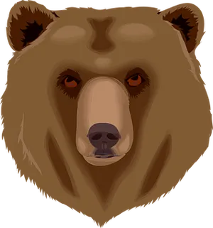 Intense Brown Bear Face Illustration