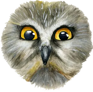 Intense Eyed Owl Watercolor PNG image