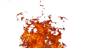 Intense_ Flames_ Black_ Background.jpg