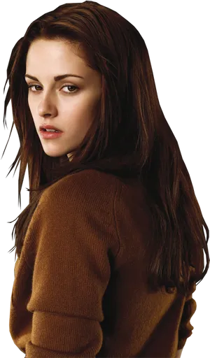Intense_ Glance_ Brown_ Sweater.png PNG image