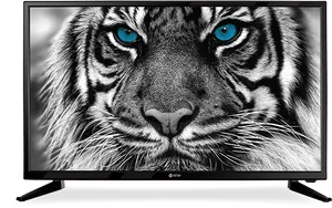 Intense Tiger Eyes Television Display