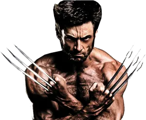 Intense Wolverine Claws Out PNG image