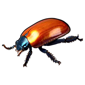 Interactive Beetle Life Game PNG Dke23 PNG