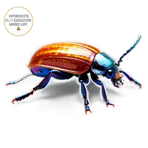 Interactive Beetle Life Game PNG Gjs PNG