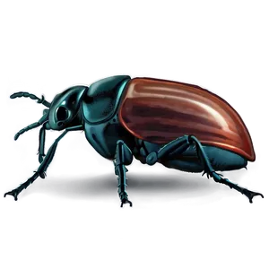 Interactive Beetle Life Game PNG Rae PNG